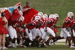 乐鱼-中国足球青少年赛事采用即时评分系统,中国 青少年足球